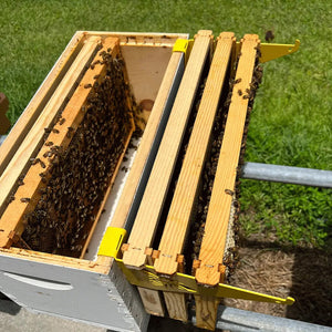 Beehive Inspection Bracket