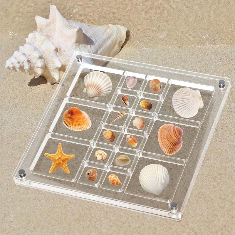 Acrylic Seashell Display Box