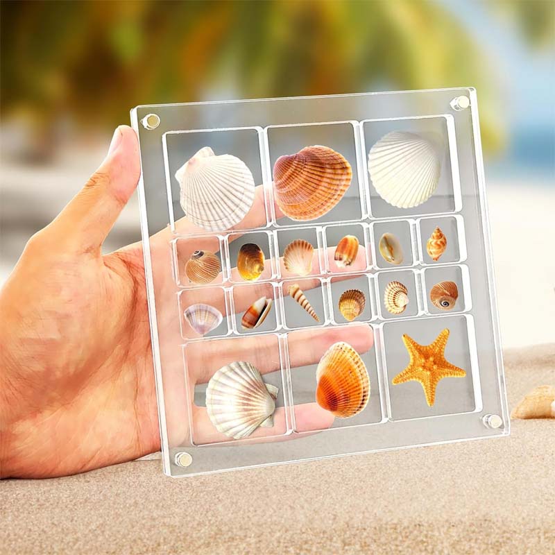 Acrylic Seashell Display Box