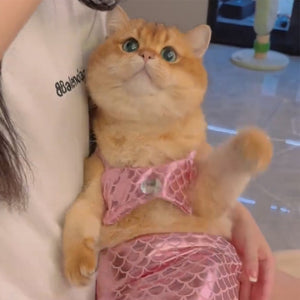 Funny Cat Mermaid Clothing