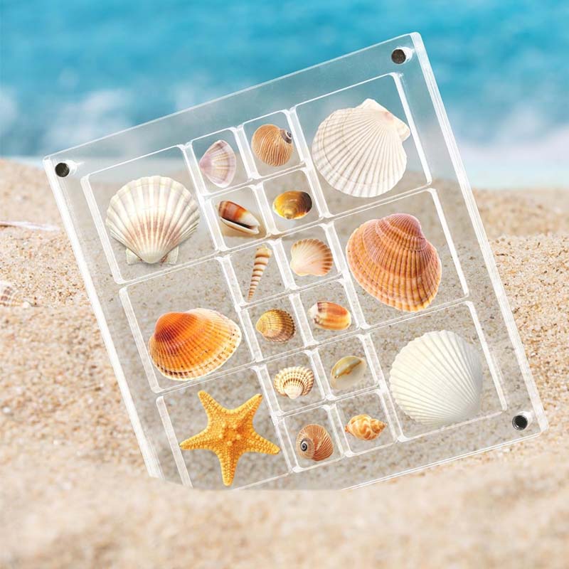 Acrylic Seashell Display Box