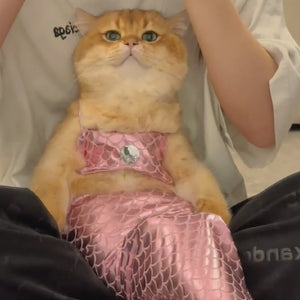 Funny Cat Mermaid Clothing