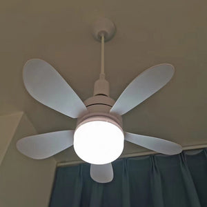 Ceiling Fan with LED Light