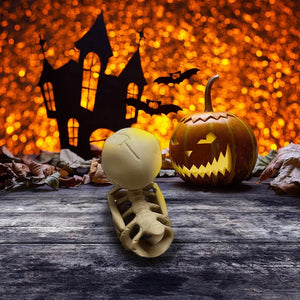 Halloween Skeleton Duck Decor