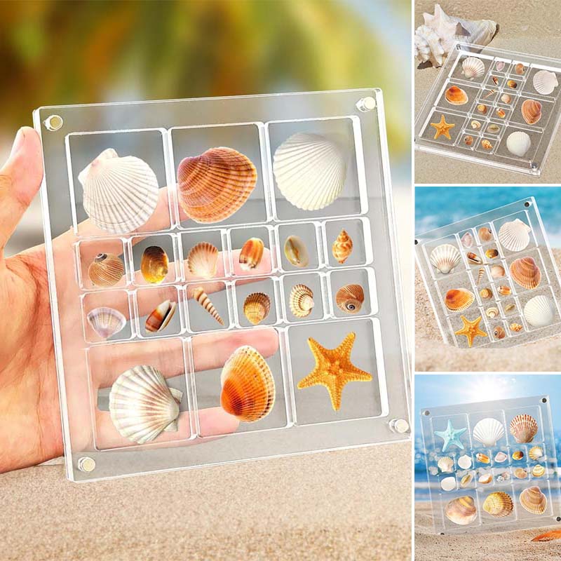 Acrylic Seashell Display Box