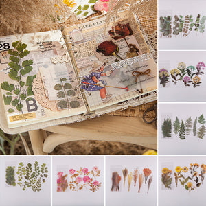 Dried Flowers Stickers Set