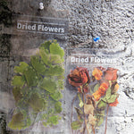 Dried Flowers Stickers Set