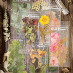 Dried Flowers Stickers Set