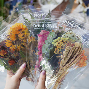 Dried Flowers Stickers Set