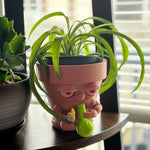 Pot Smoking Potted Planter