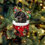 Cute Christmas Sock Dog Ornament