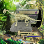 DIY Archaeological Mining Dinosaur Fossil Toys