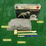 DIY Archaeological Mining Dinosaur Fossil Toys