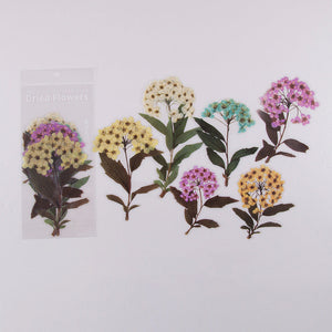 Dried Flowers Stickers Set